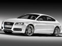 Audi S5 2010 года