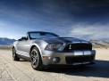 Ford Shelby