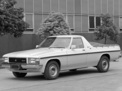 Holden UTE 1980 года