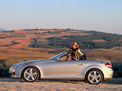 Mercedes-Benz SLK-class 2004 года