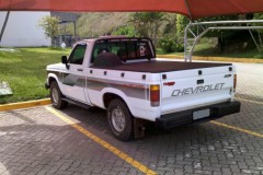 Chevrolet D20