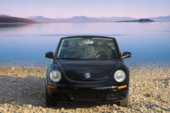 Volkswagen Beetle Cabrio 2006 года