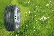 Автомобильные шины: летние варианты обуви для вашей машины