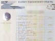 Что делать, если потерян ПТС на автомобиль?