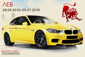 Лев 29.06.2015–05.07.2015