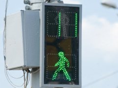 Светофоры научат ждать пешеходов