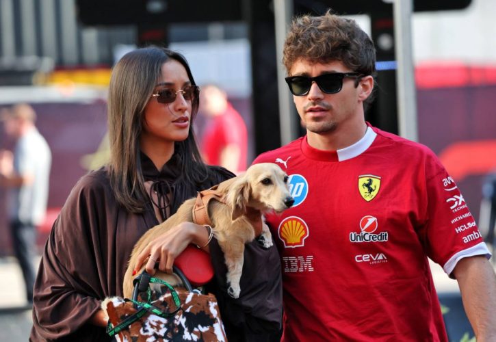 Предложение с участием щенка