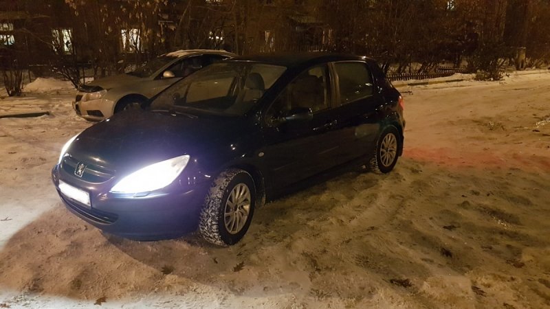 Peugeot 307 2002