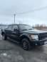 Ford F-150 2009