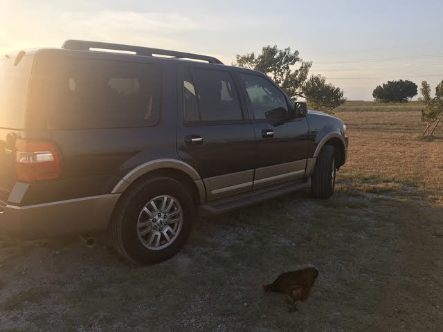 Ford Expedition 2013